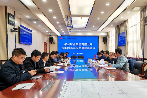 图片1：瓦斯防治会诊座谈交流会_副本.jpg