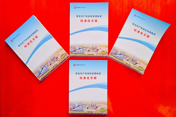 1 标准化手册_副本.jpg