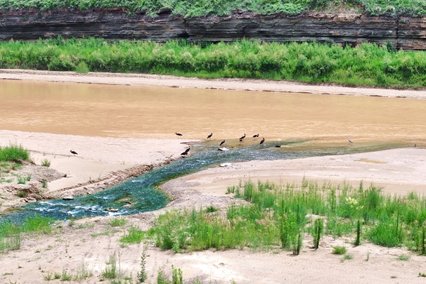 1762135632521993.jpg 图2_副本.jpg