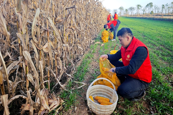 1762933950158111.jpg IMG_20251109_170506_1_副本.jpg